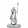 Wizkids Deep Cuts Unpainted Miniatures: Brigante Celts (Wave 17) -Fantasy Flight Games Shop UPM17 069.01 BriganteQueen UPM HiresRender 93185.1640898252
