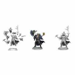 Dungeons & Dragons Miniatures: Frameworks - Male Human Warlock (Wave 1)